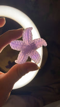 Load image into Gallery viewer, Starfish Carving
