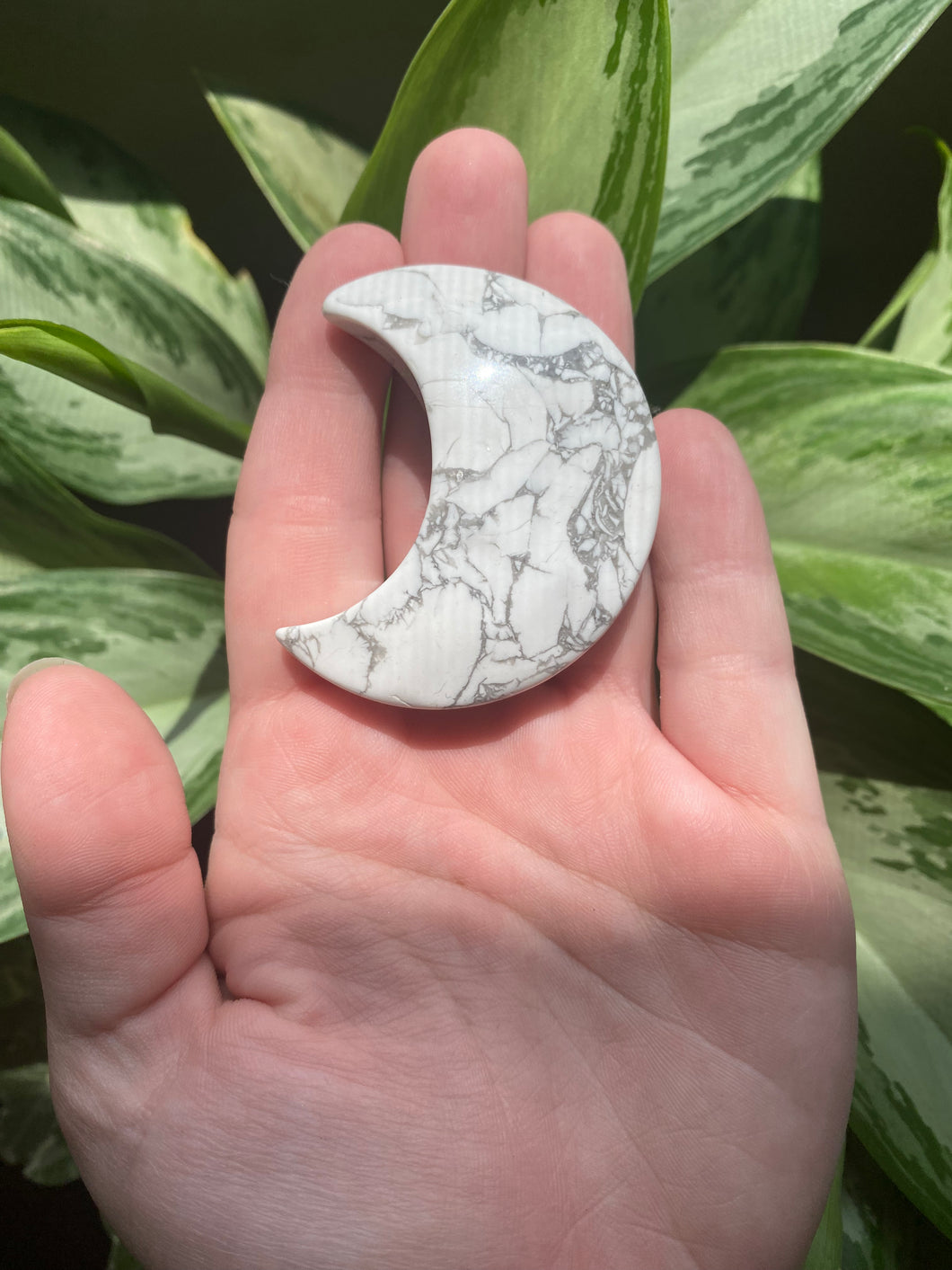 Howlite Moon