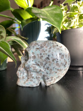 Load image into Gallery viewer, Kiwi Jasper Skull
