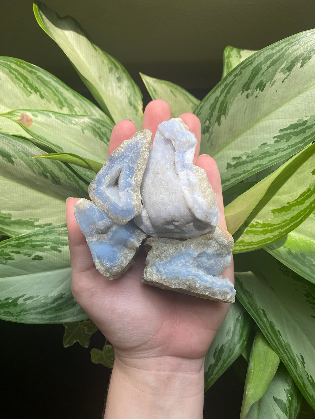 Blue Lace Agate Raw