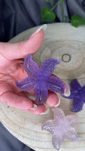 Load image into Gallery viewer, Starfish Carving
