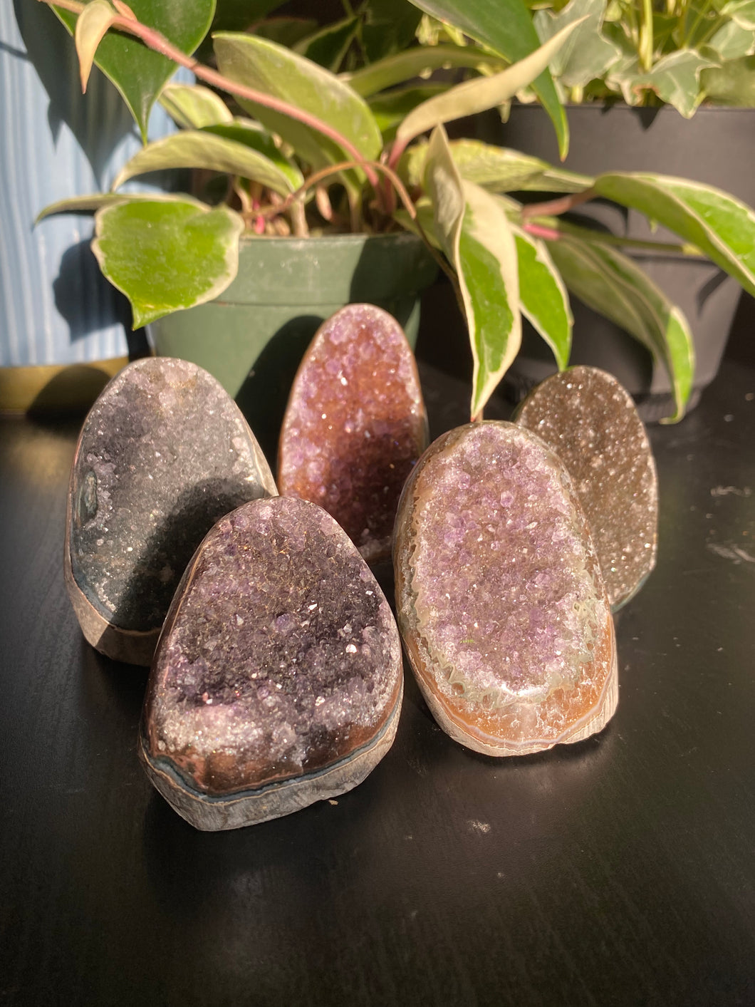 Sugar Amethyst Cut Bases