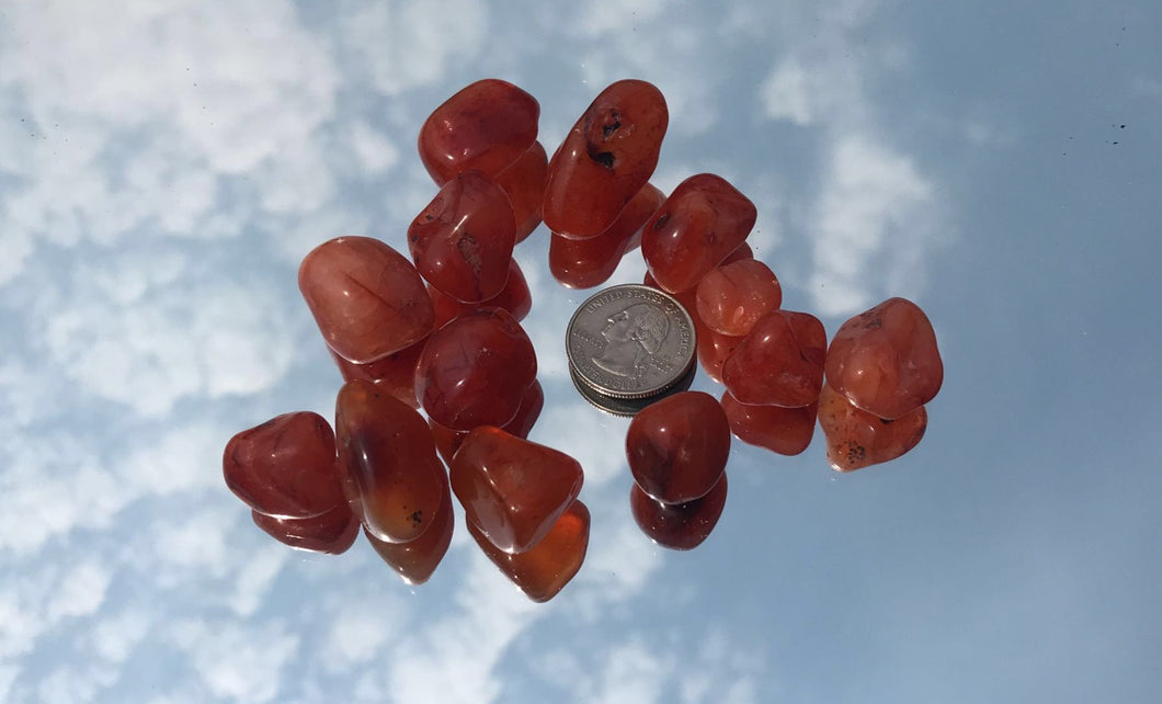 Carnelian Tumbled