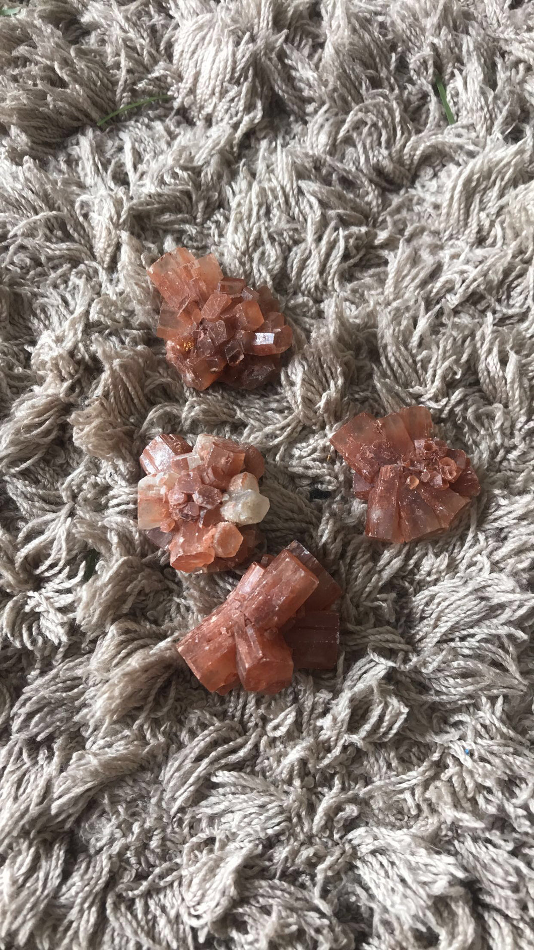 Aragonite