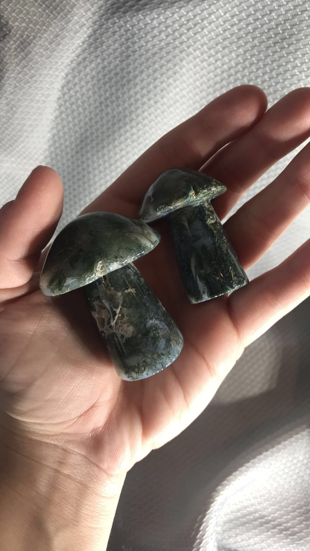 Moss Agate Mushies