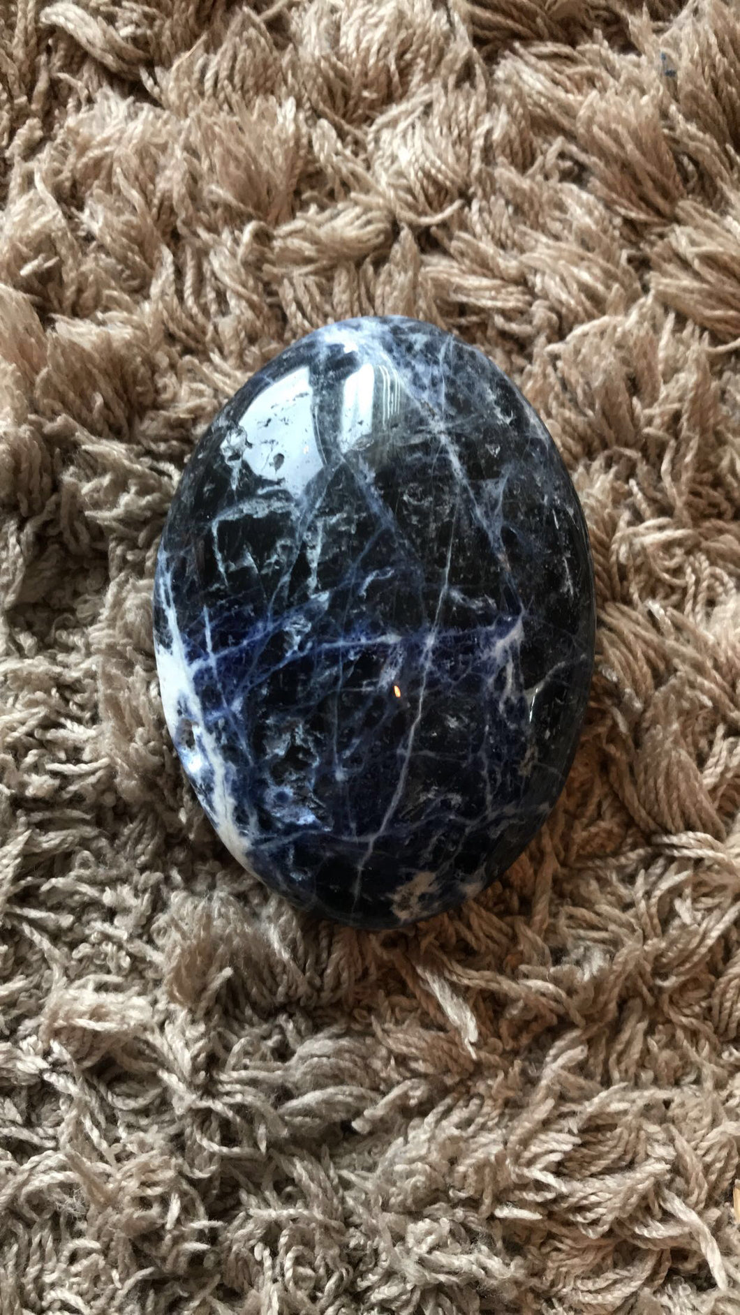 Sodalite Palm