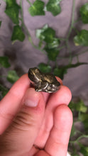 Load image into Gallery viewer, Pyrite Froggy
