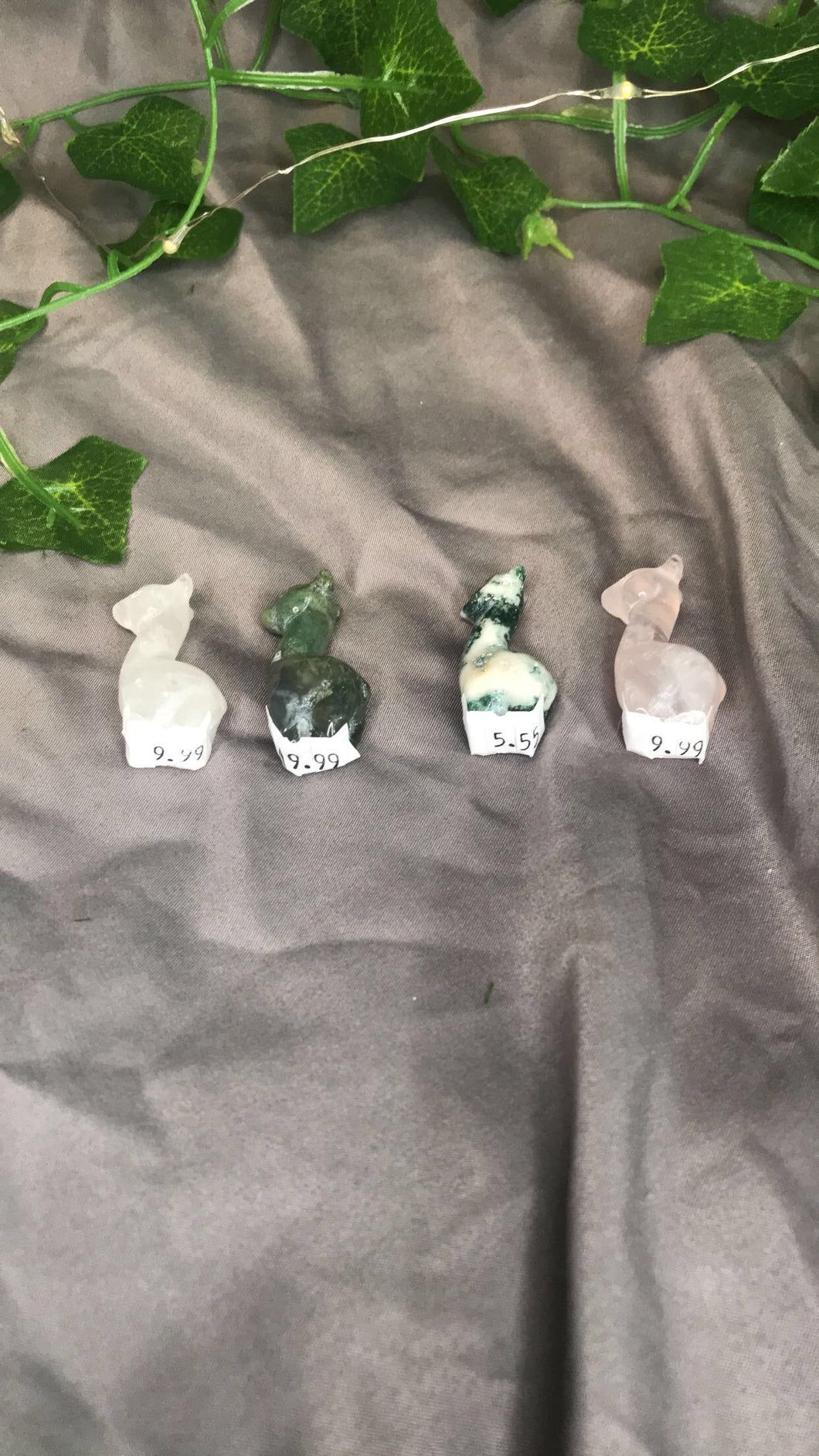 Mini Alpacas